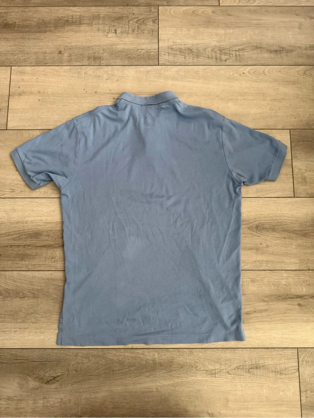 Ralph Lauren Light Blue Polo with Red Pony Embroidery